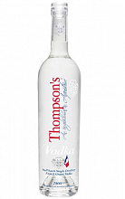 Виноградная Томпсонс  3 800 ₽