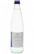Вода Минеральная Аллегра 500мл Газированная  150 ₽